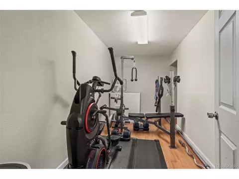 21433 E 50th Pl, Denver, CO 80249 photo 22