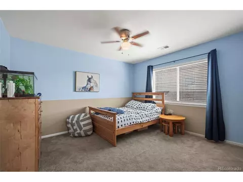 21433 E 50th Pl, Denver, CO 80249 photo 18