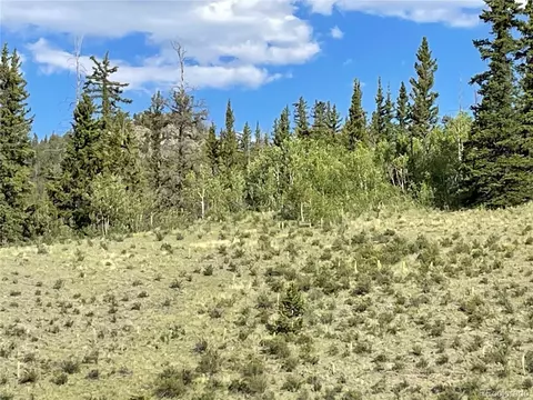 1808 Travois Rd, Como, CO 80432 photo 6