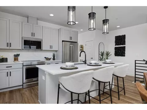 10864 Lyric St, Parker, CO 80134