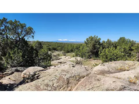 157 Tyrone Hls, Walsenburg, CO 81089