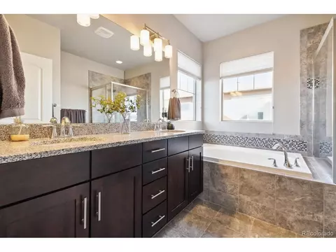 7973 E 49th Pl, Denver, CO 80238 photo 12