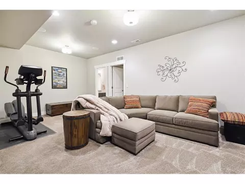 7973 E 49th Pl, Denver, CO 80238 photo 17