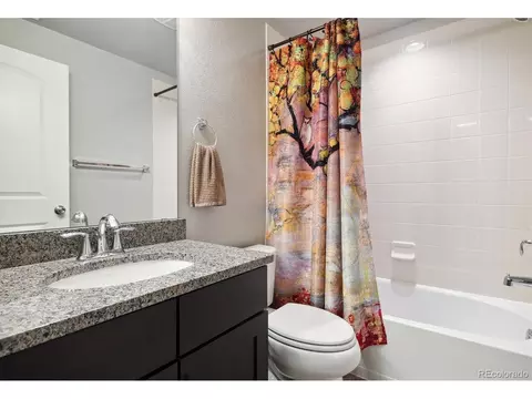 7973 E 49th Pl, Denver, CO 80238 photo 19