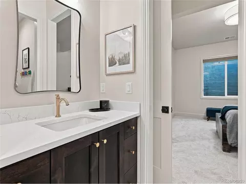 Bath - 951 Warbling Dr, Windsor, CO 80550 photo 8 of 8