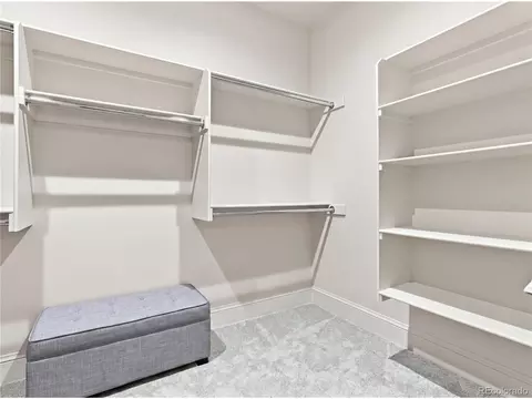 Other - 951 Warbling Dr, Windsor, CO 80550 photo 12 of 13