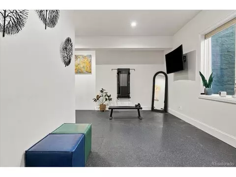 Other - 951 Warbling Dr, Windsor, CO 80550 photo 14 of 14