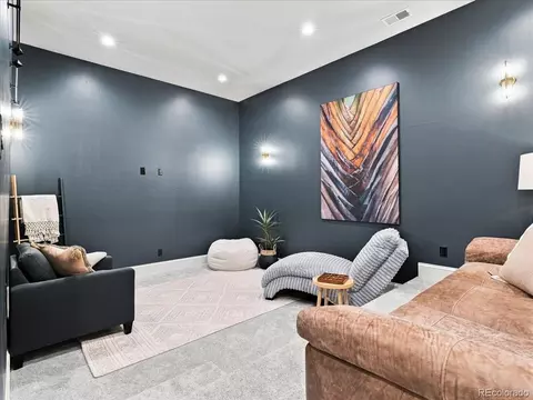 Other - 951 Warbling Dr, Windsor, CO 80550 photo 12 of 14
