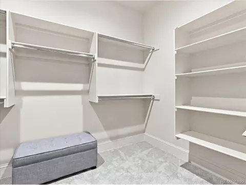 Other - 951 Warbling Dr, Windsor, CO 80550 photo 13 of 14