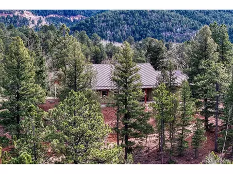 1131 Pikes Peak Dr, Divide, CO 80814 photo 26