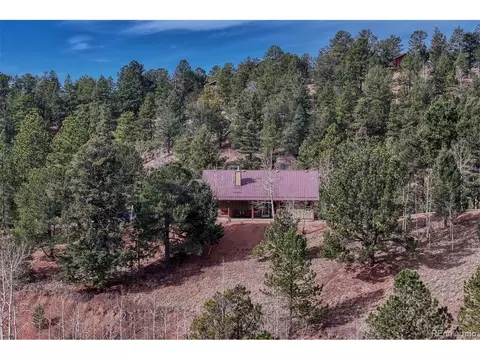 1131 Pikes Peak Dr, Divide, CO 80814 photo 27