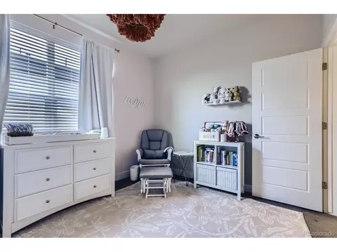 9406 E 59th Ave, Denver, CO 80238 photo 21