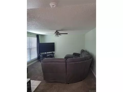 1040 Centennial Dr, Bennett, CO 80102 photo 3