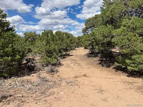 8 Coyote Ct, San Luis, CO 81152