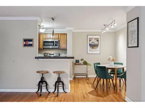 10 N Ogden St #101, Denver, CO 80218