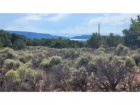 7071 Cutter Rd, Fort Garland, CO 81133