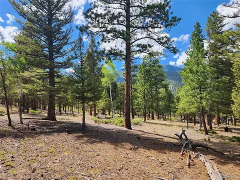 30328 National Forest Dr, Buena Vista, CO 81211