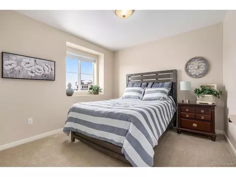 10915 Touchstone Loop, Parker, CO 80134 photo 17