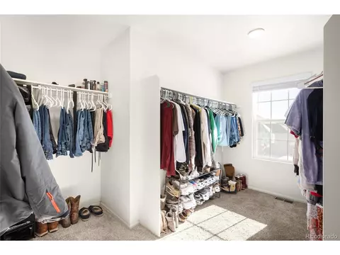 1674 Highfield Dr, Windsor, CO 80550 photo 29