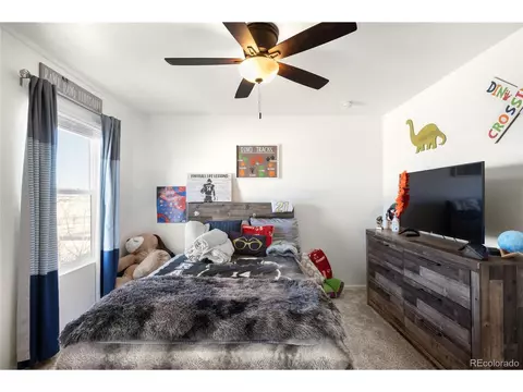 1674 Highfield Dr, Windsor, CO 80550 photo 32