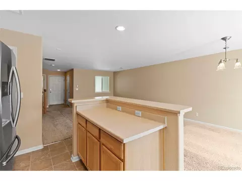 18959 E 58th Ave, Denver, CO 80249 photo 9