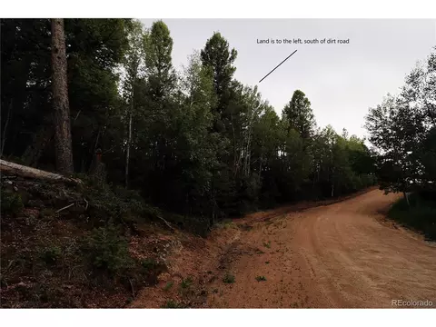 280 Jolly Rogue Dr, Divide, CO 80814 photo 11