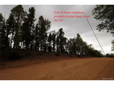 280 Jolly Rogue Dr, Divide, CO 80814 photo 9
