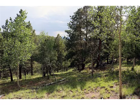 280 Jolly Rogue Dr, Divide, CO 80814 photo 3