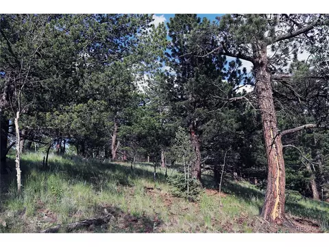 280 Jolly Rogue Dr, Divide, CO 80814 photo 4