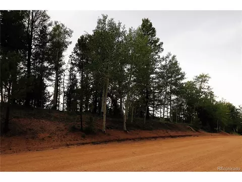 280 Jolly Rogue Dr, Divide, CO 80814 photo 10