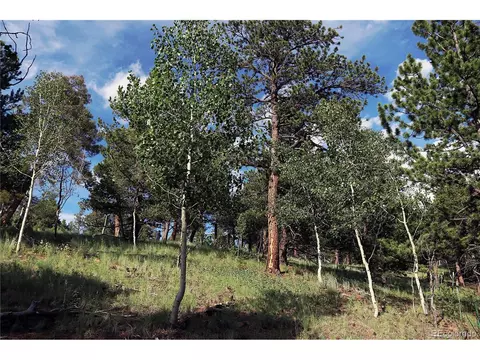 280 Jolly Rogue Dr, Divide, CO 80814 photo 5