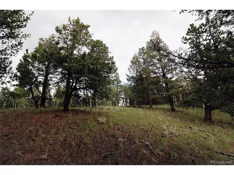 280 Jolly Rogue Dr, Divide, CO 80814 photo 6