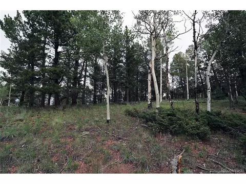 280 Jolly Rogue Dr, Divide, CO 80814 photo 7