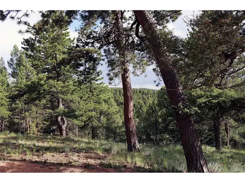 280 Jolly Rogue Dr, Divide, CO 80814 photo 2
