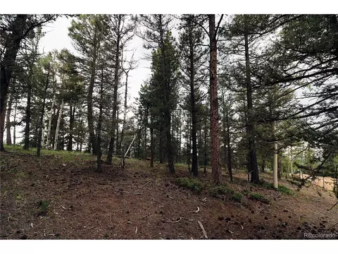 280 Jolly Rogue Dr, Divide, CO 80814 photo 8