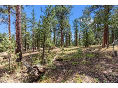 173 Road C, Pine, CO 80470 photo 42