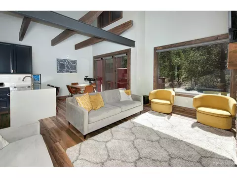 102 Lake Ridge Cir #1891, Dillon, CO 80435