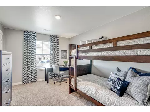 462 3rd St, Severance, CO 80550 photo 29