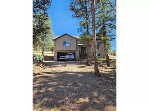 24 Big Horn Cir, Florissant, CO 80816