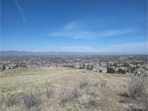 10165 Bellwether Ln, Lone Tree, CO 80124 photo 39