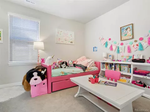 10165 Bellwether Ln, Lone Tree, CO 80124 photo 31