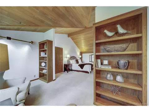 9460 Devils Head Dr, Parker, CO 80138 photo 21