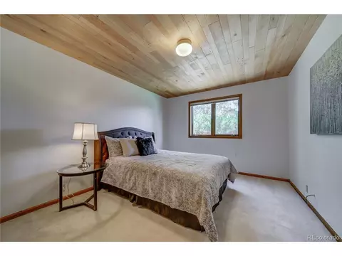 9460 Devils Head Dr, Parker, CO 80138 photo 12