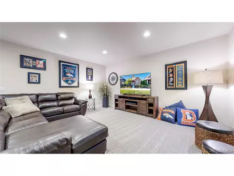 8222 E 55th Pl, Denver, CO 80238 photo 25