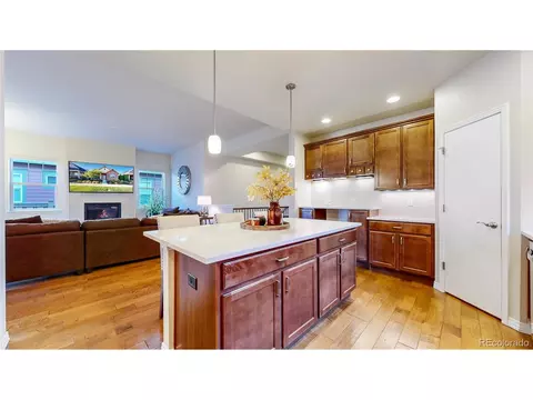 8222 E 55th Pl, Denver, CO 80238 photo 12