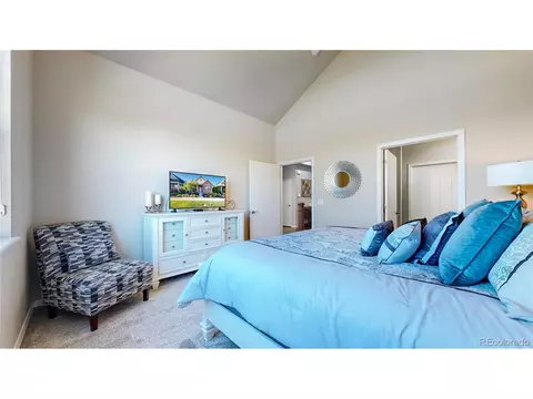8222 E 55th Pl, Denver, CO 80238 photo 17
