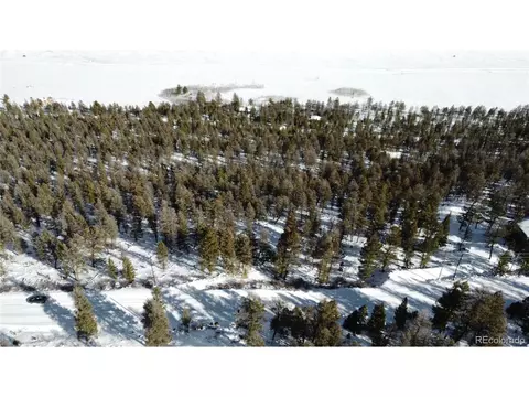 1348 Middle Fork Vis, Fairplay, CO 80440