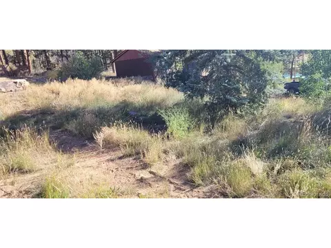 82 W Shawnee Rd, Shawnee, CO 80475 photo 6
