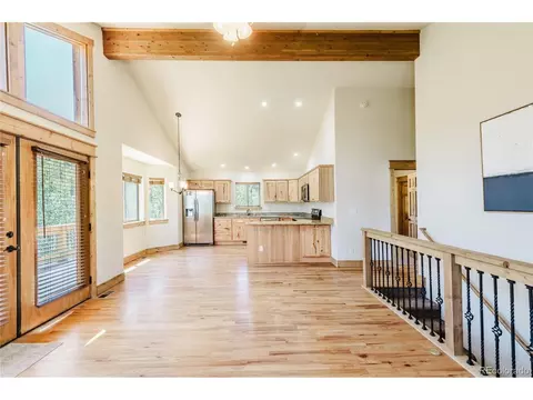 1286 Clark Rd, Bailey, CO 80421 photo 5