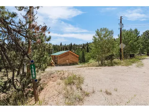 1286 Clark Rd, Bailey, CO 80421 photo 33